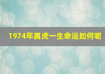 1974年属虎一生命运如何呢