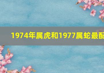 1974年属虎和1977属蛇最配