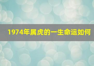 1974年属虎的一生命运如何