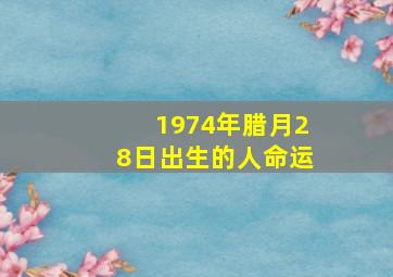 1974年腊月28日出生的人命运