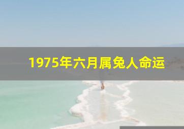 1975年六月属兔人命运