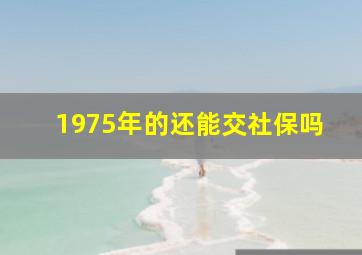 1975年的还能交社保吗