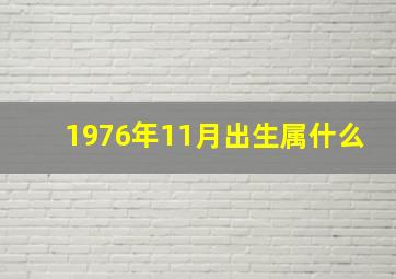 1976年11月出生属什么