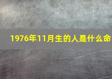 1976年11月生的人是什么命