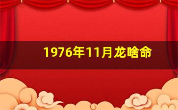 1976年11月龙啥命