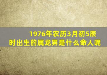 1976年农历3月初5辰时出生的属龙男是什么命人呢