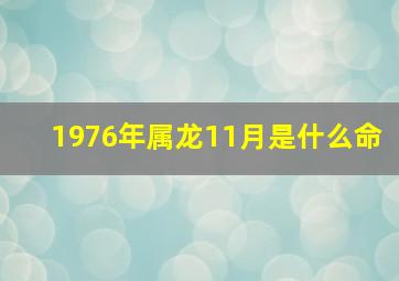 1976年属龙11月是什么命