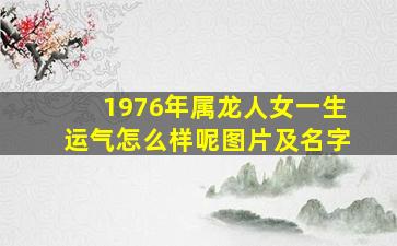 1976年属龙人女一生运气怎么样呢图片及名字