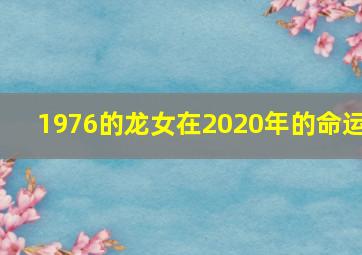 1976的龙女在2020年的命运