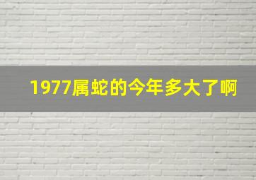 1977属蛇的今年多大了啊