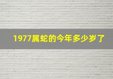 1977属蛇的今年多少岁了