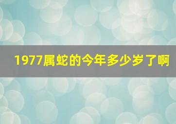 1977属蛇的今年多少岁了啊