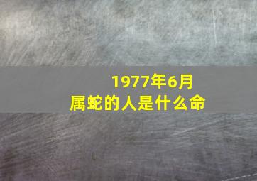 1977年6月属蛇的人是什么命