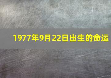 1977年9月22日出生的命运