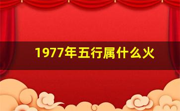 1977年五行属什么火