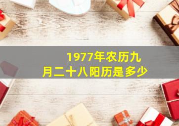 1977年农历九月二十八阳历是多少