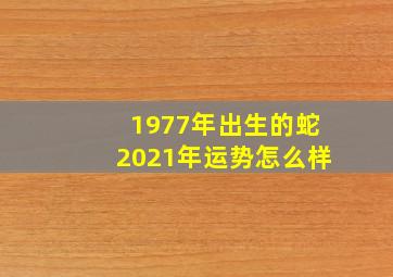 1977年出生的蛇2021年运势怎么样