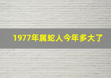 1977年属蛇人今年多大了