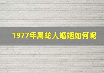 1977年属蛇人婚姻如何呢