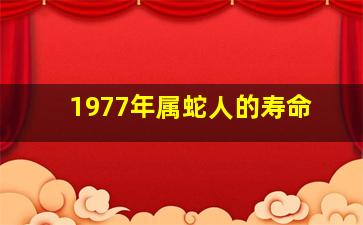 1977年属蛇人的寿命