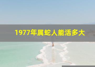 1977年属蛇人能活多大