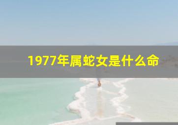 1977年属蛇女是什么命