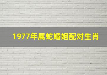 1977年属蛇婚姻配对生肖