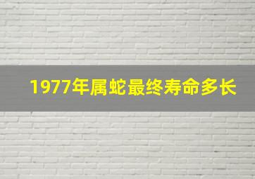 1977年属蛇最终寿命多长