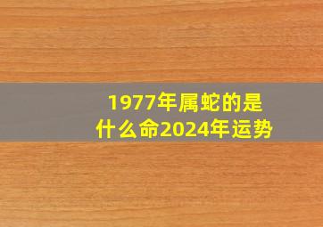 1977年属蛇的是什么命2024年运势