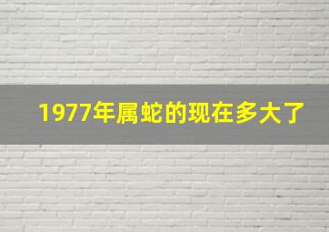 1977年属蛇的现在多大了