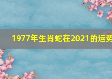 1977年生肖蛇在2021的运势