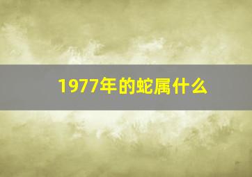 1977年的蛇属什么