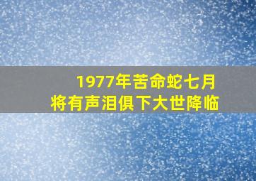 1977年苦命蛇七月将有声泪俱下大世降临