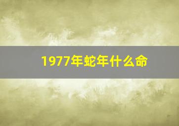 1977年蛇年什么命