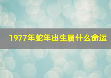 1977年蛇年出生属什么命运