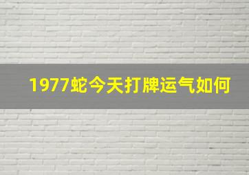 1977蛇今天打牌运气如何