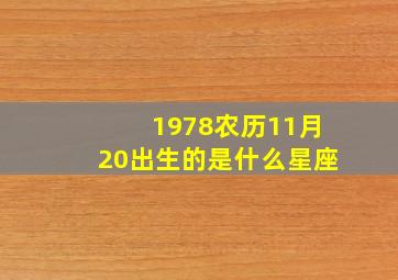 1978农历11月20出生的是什么星座