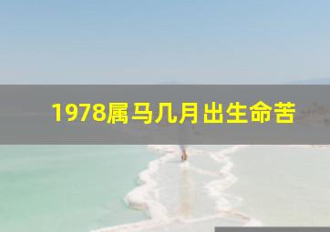 1978属马几月出生命苦