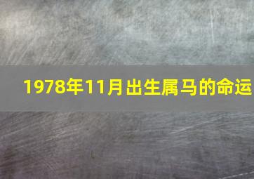 1978年11月出生属马的命运