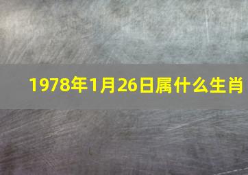 1978年1月26日属什么生肖