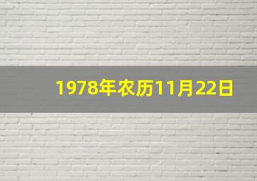 1978年农历11月22日