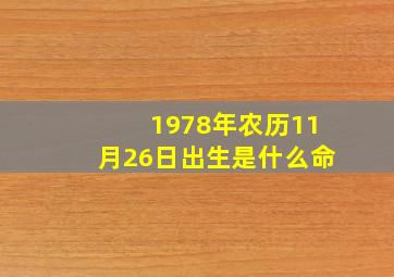 1978年农历11月26日出生是什么命