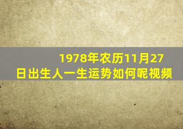 1978年农历11月27日出生人一生运势如何呢视频