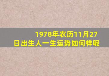 1978年农历11月27日出生人一生运势如何样呢