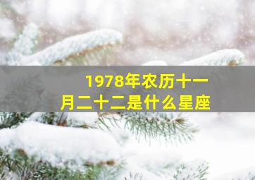 1978年农历十一月二十二是什么星座