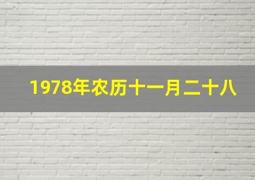 1978年农历十一月二十八