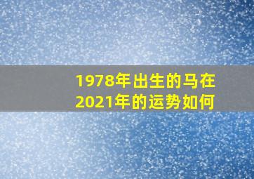 1978年出生的马在2021年的运势如何