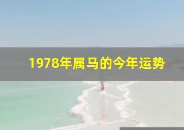 1978年属马的今年运势