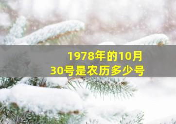 1978年的10月30号是农历多少号