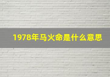 1978年马火命是什么意思